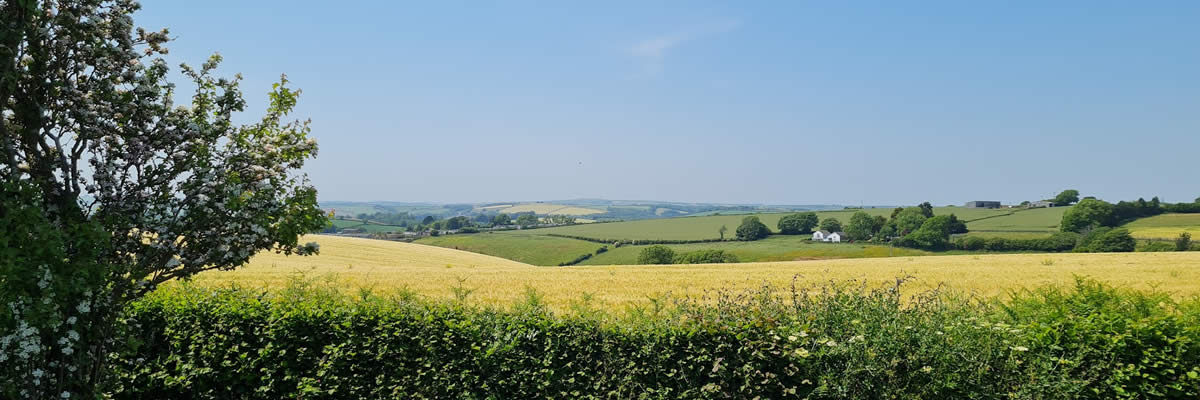 Wonderful country views from Looe Country Park