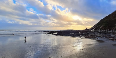 Walking the dogs on a local beach